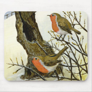 Een paar Robins Muismat