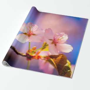 Een paar Sakura-bloemen Cadeaupapier