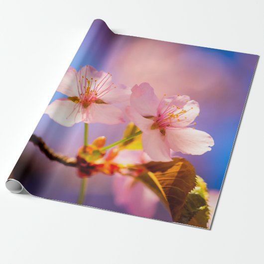 Een paar Sakura-bloemen Cadeaupapier (Uitgerold)