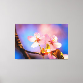 Een paar Sakura-bloemen Canvas Afdruk