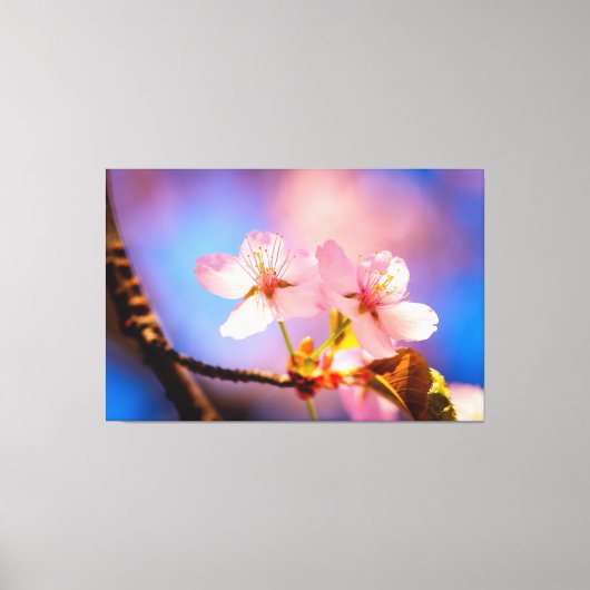 Een paar Sakura-bloemen Canvas Afdruk (Voorkant)