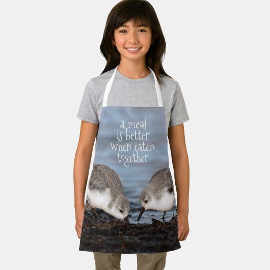 Een paar Sanderlings Sandpipers Shorebirds Aandele Schort (Insitu)