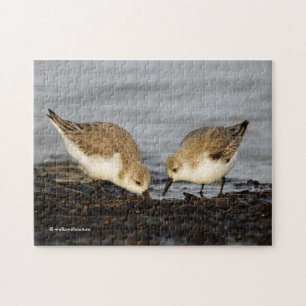 Een paar Sanderlings Shares Legpuzzel