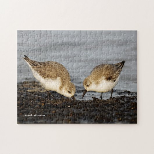 Een paar Sanderlings Shares Legpuzzel (Horizontaal)