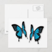 Een paar tropische blauwe vlinders briefkaart (Voorkant / Achterkant)