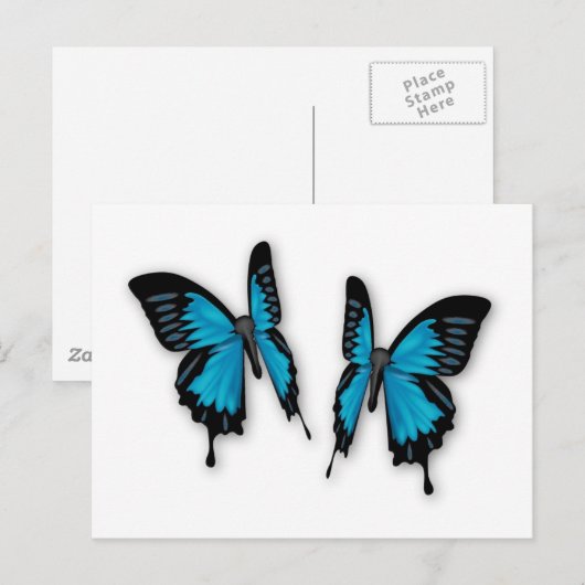 Een paar tropische blauwe vlinders briefkaart (Voorkant / Achterkant)