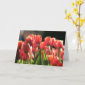 Een paar Tulpen in de Lente Kaart (Gele Bloem)