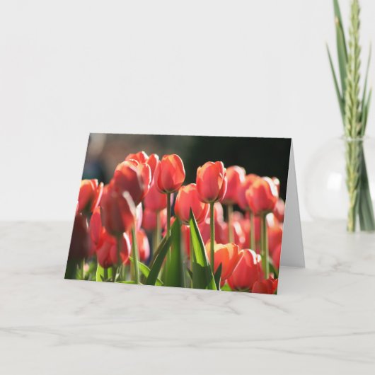 Een paar Tulpen in de Lente Kaart (Voorkant)