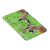 Een paar van Deer Magneet (Rechterzijde)