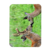Een paar van Deer Magneet (Verticaal)