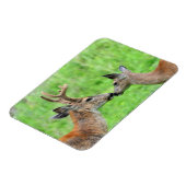 Een paar van Deer Magneet (Linkerzijde)