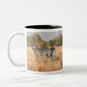 Een paar zebras ter attentie in de benedenloop van tweekleurige koffiemok