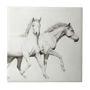Een paard aanpassen tegeltje