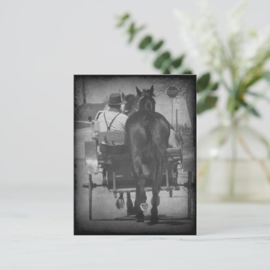 Een paard achter de buik briefkaart (Staand voorkant)