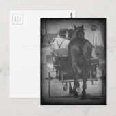 Een paard achter de buik briefkaart (Voorkant / Achterkant)