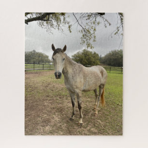 Een paard bij een weiland legpuzzel