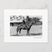 één paard briefkaart (Voorkant)