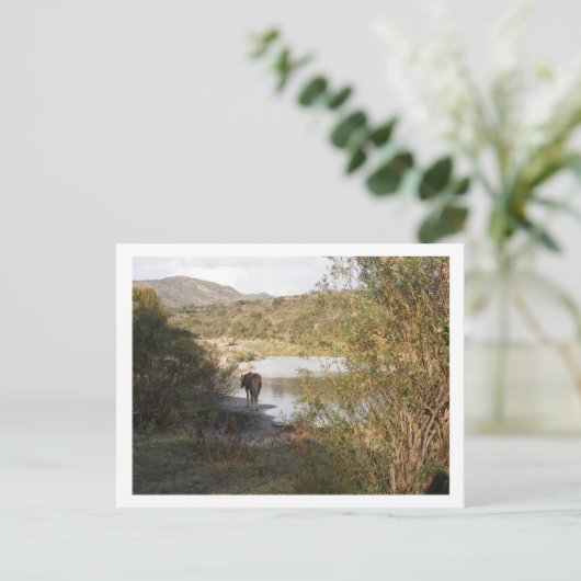 een paard briefkaart (Staand voorkant)