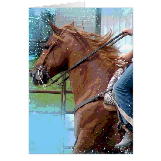 Een paard dat polensteken doet (Voorkant)