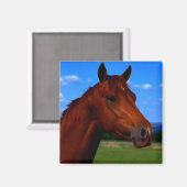 Een paard dat trots is magneet (Voorkant / Achterkant)