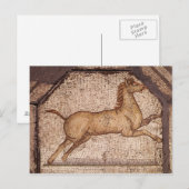 Een paard, detail van Orpheus Charming the Animals Briefkaart (Voorkant / Achterkant)