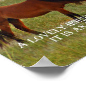 een paard ervaren poster (Hoek)