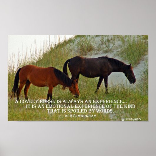 een paard ervaren poster (Voorkant)