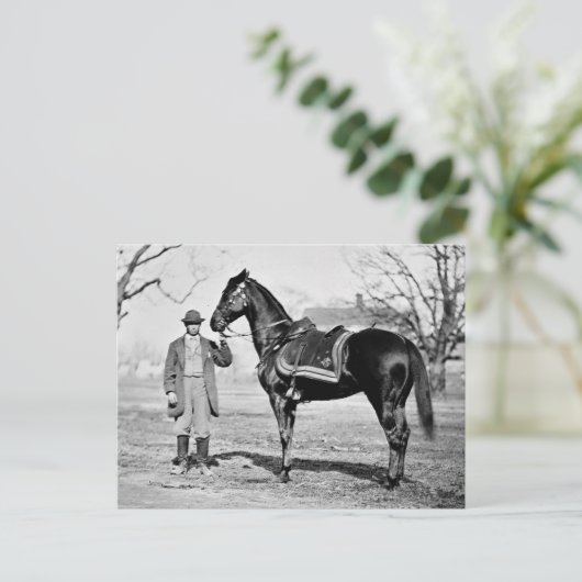 Een paard genaamd Cincinnati, 1865 Briefkaart (Staand voorkant)