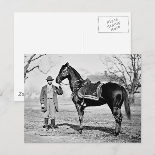 Een paard genaamd Cincinnati, 1865 Briefkaart (Voorkant / Achterkant)