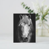 Een paard genaamd Elvis Briefkaart (Staand voorkant)