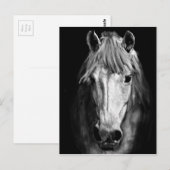 Een paard genaamd Elvis Briefkaart (Voorkant / Achterkant)