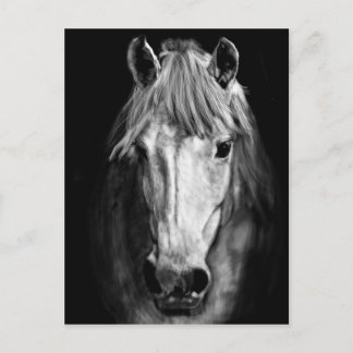 Een paard genaamd Elvis Briefkaart