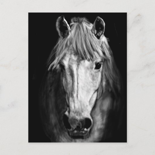 Een paard genaamd Elvis Briefkaart (Voorkant)