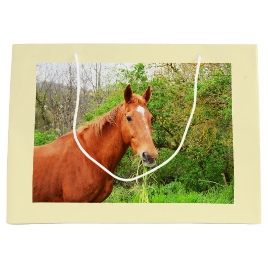 Een paard genaamd Orion Groot Cadeauzakje (Voorkant)