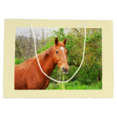 Een paard genaamd Orion Groot Cadeauzakje (Achterkant)