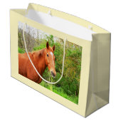 Een paard genaamd Orion Groot Cadeauzakje (Achterkant Gekanteld)