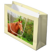 Een paard genaamd Orion Groot Cadeauzakje (Voorkant Gekanteld)