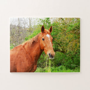 Een paard genaamd Orion Legpuzzel