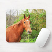 Een paard genaamd Orion Muismat (Met muis)