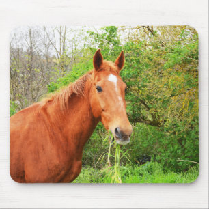 Een paard genaamd Orion Muismat