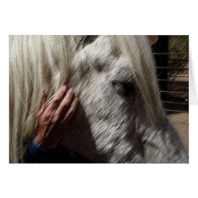 Een paard houden (Voorkant Horizontaal)