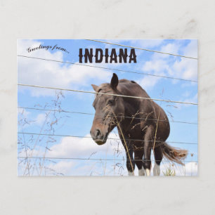 Een paard in Columbus Indiana Briefkaart