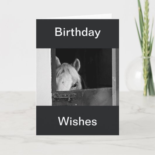Een paard in de Stables Birthday Wishes Card Kaart (Voorkant)