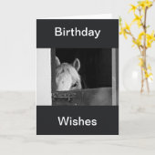 Een paard in de Stables Birthday Wishes Card Kaart (Gele Bloem)