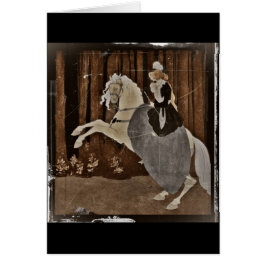 Een paard in het bos