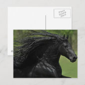 Een paard is een paard #1" briefkaart (Voorkant / Achterkant)