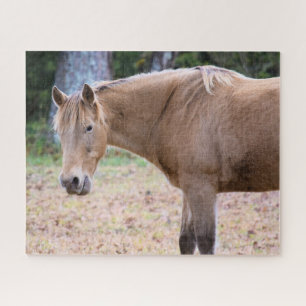 Een paard is natuurlijk een paard - 16x20 inch legpuzzel