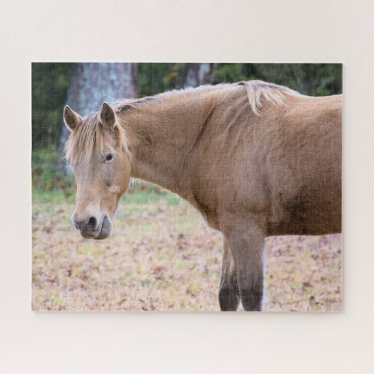 Een paard is natuurlijk een paard - 16x20 inch legpuzzel (Horizontaal)