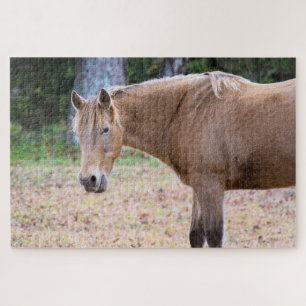 Een paard is natuurlijk een paard - 20x30 inch legpuzzel