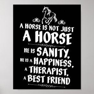 Een paard is niet alleen een paard - ruiters grapp poster